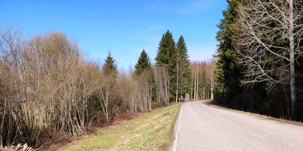 Keväinen Kolmantie aurinkoisena päivänä.