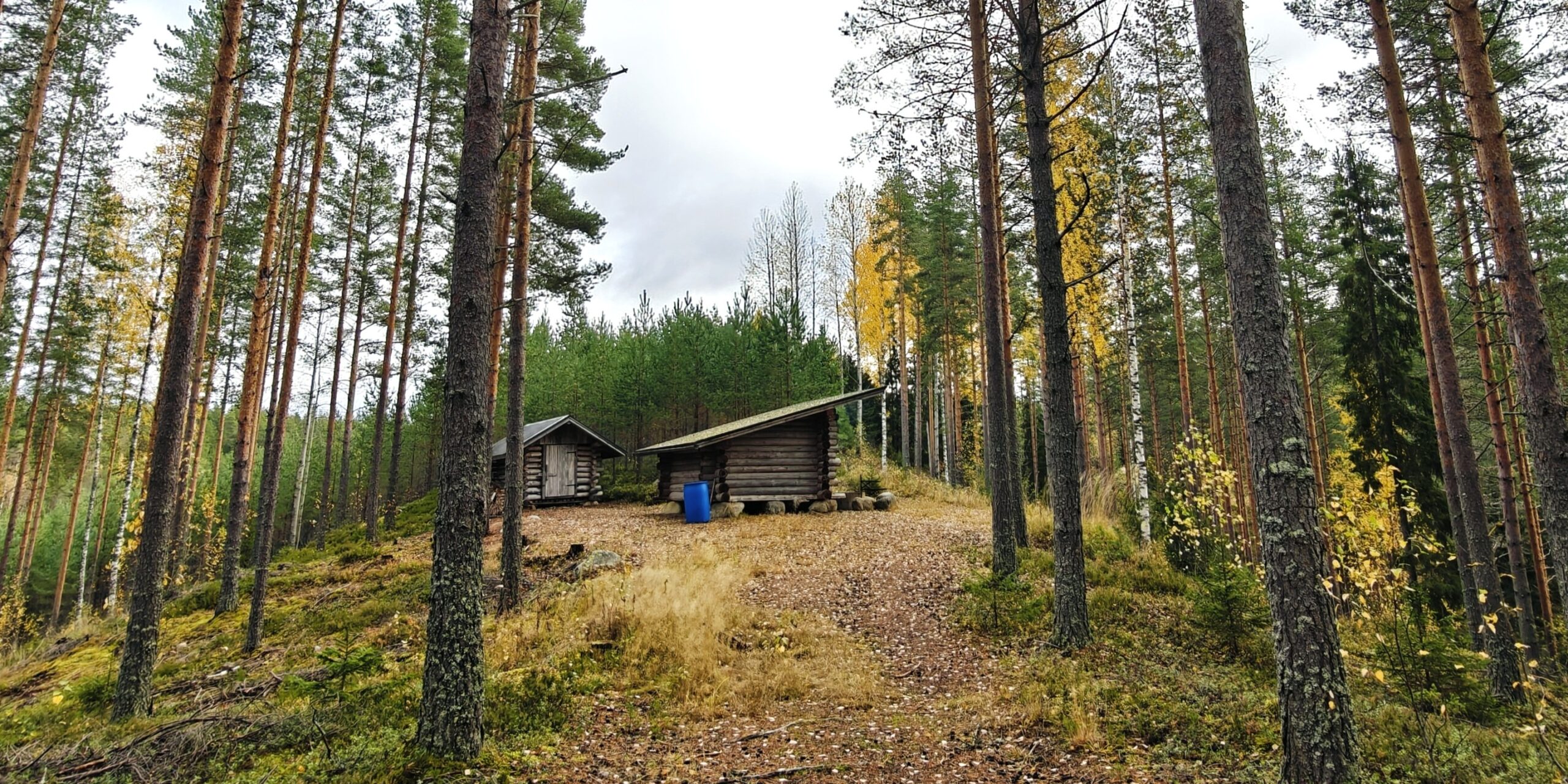 Humisevan laavu syksyllä